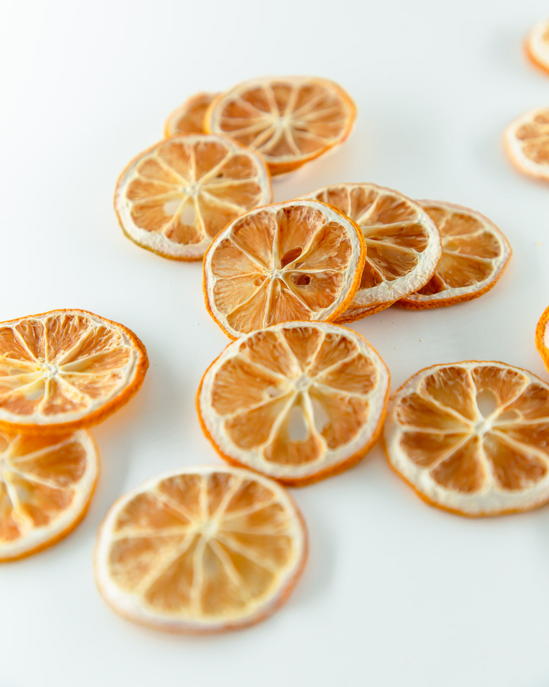 FN Lemons citrus seconds dried citrus slices – imperfect dehydrated citrus garnish - Lemon